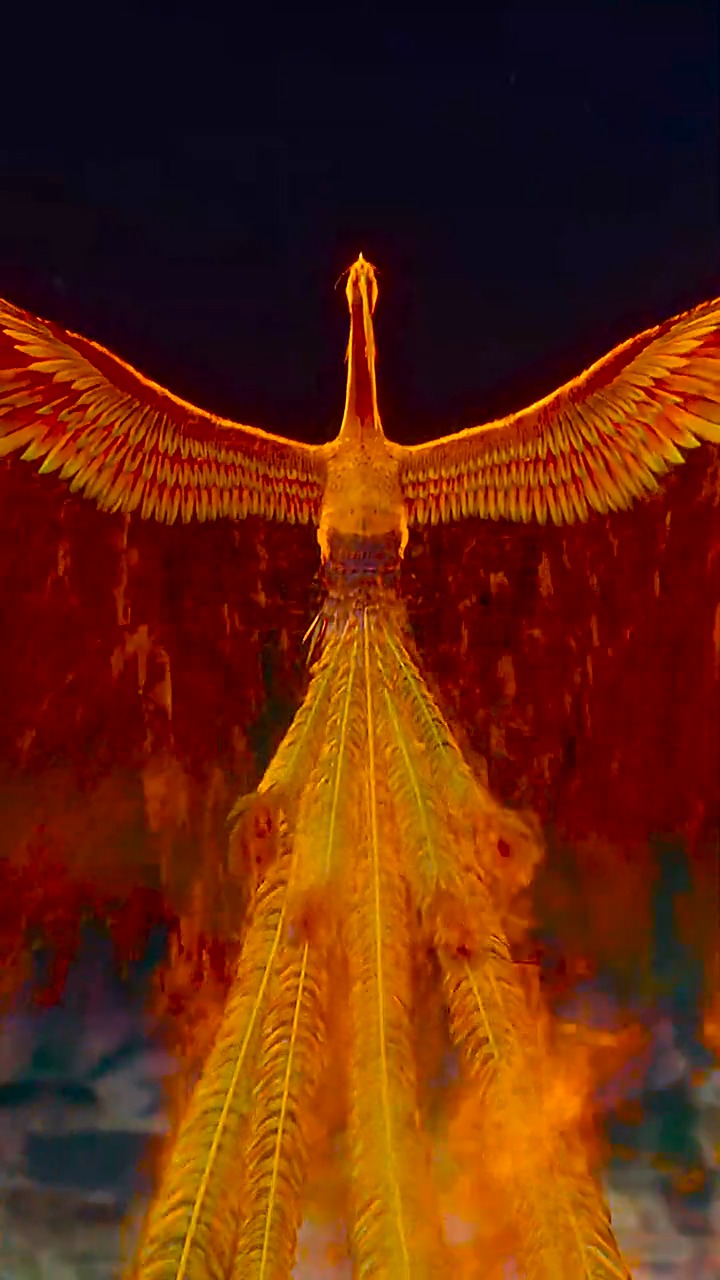 凤凰涅槃,浴火重生;水到绝境是风景,人到绝处是重生