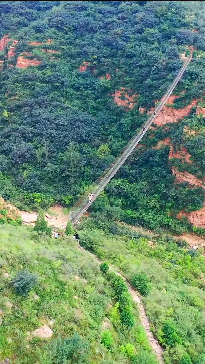 深山中发现一座钢丝吊桥,比玻璃栈道还要有挑战性,你敢体验吗?