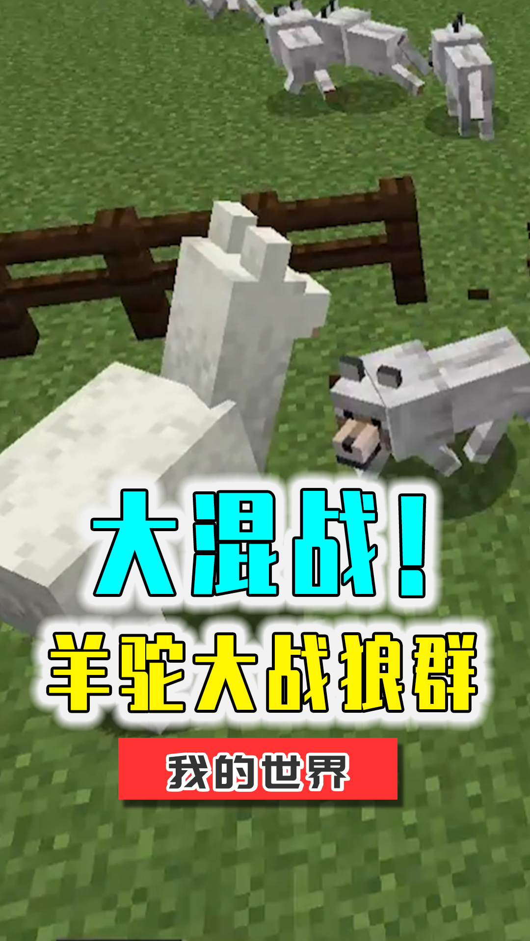 我的世界#大混战!1000只羊驼和1000狼的战斗.