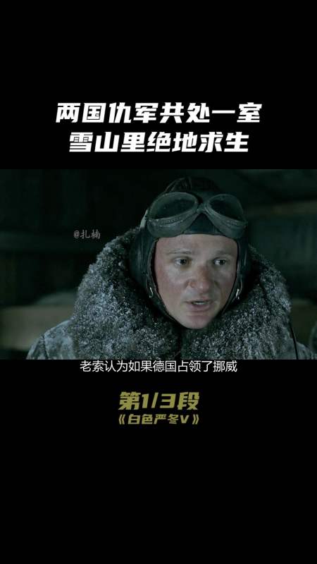 电影《白色严冬》,高分冷门反战电影.