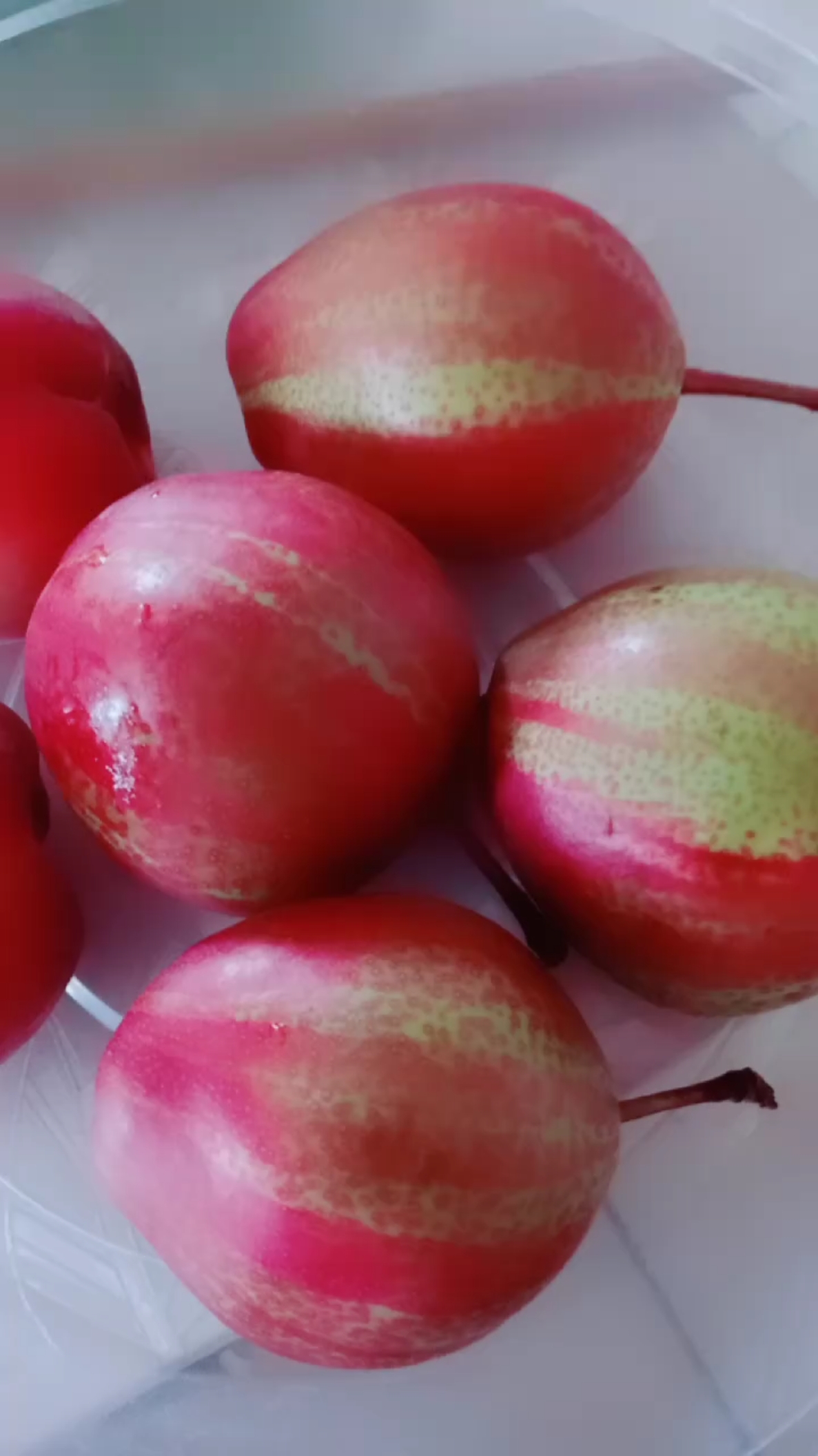 我要上热门#甘甜爽口的七彩梨