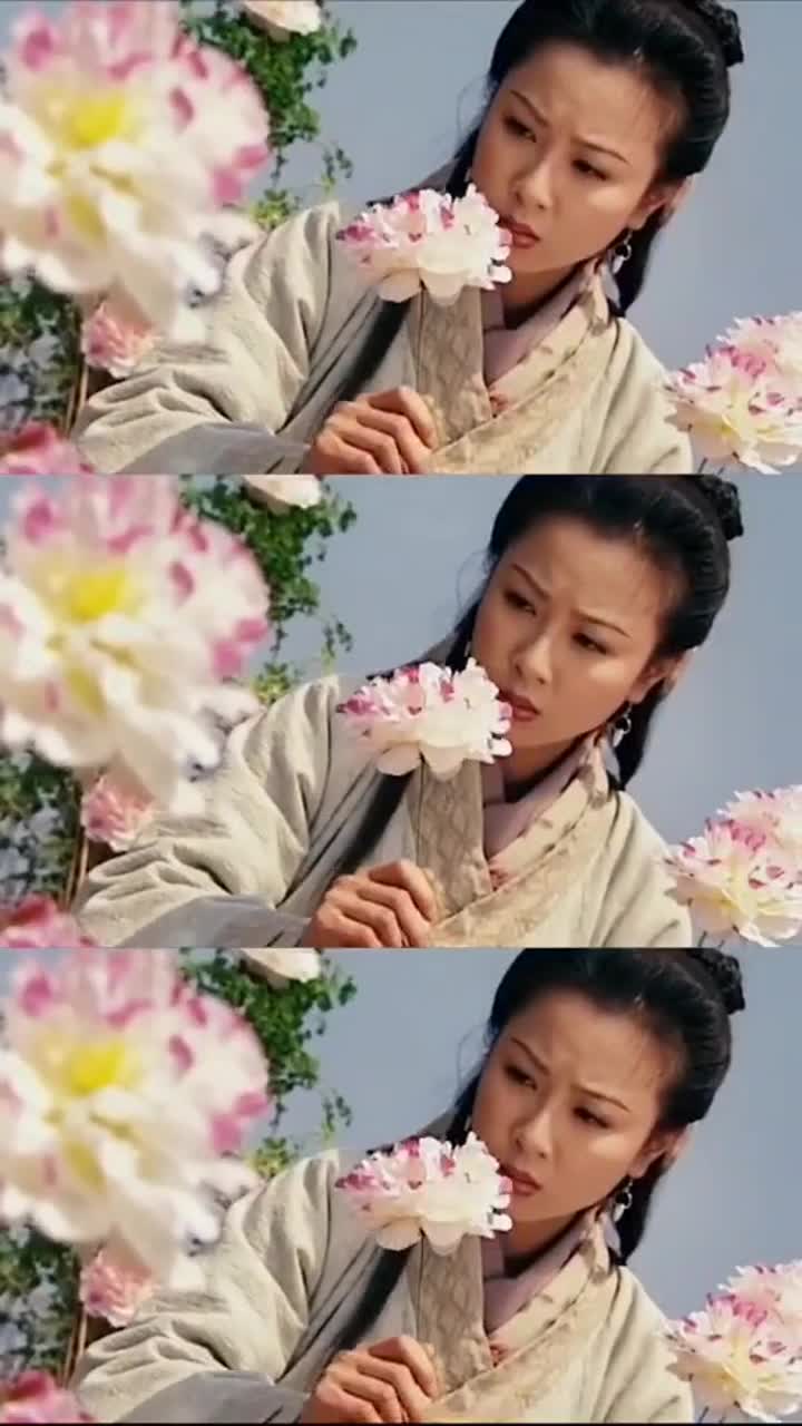 人龙传说昙花图片