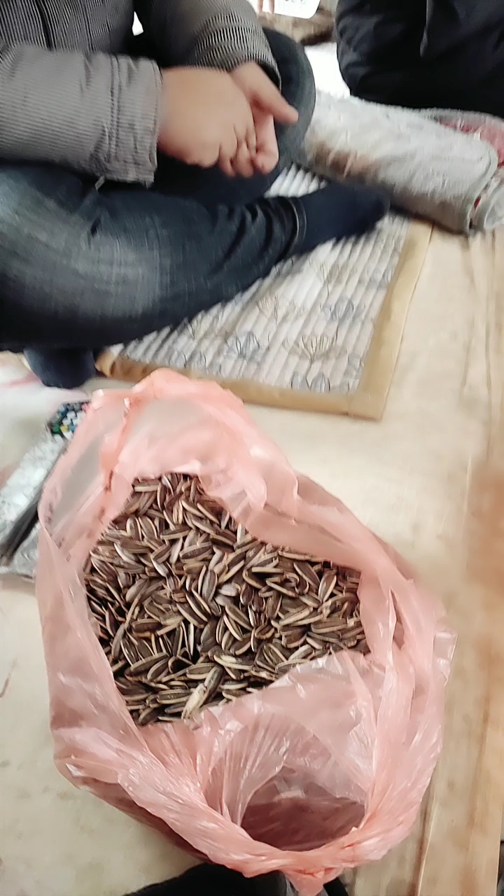 今天赶集办年货了,买了一袋大瓜子真好吃!