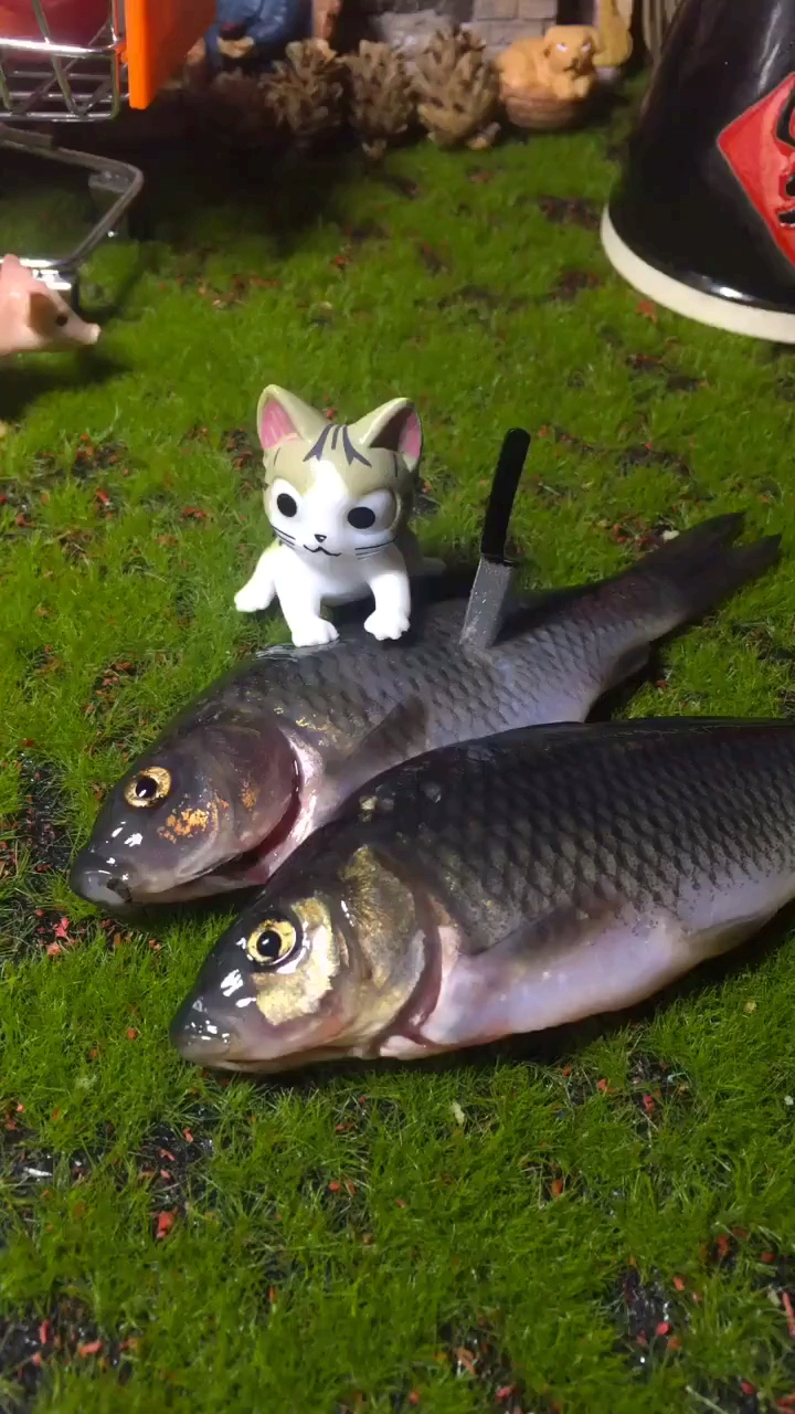 哈哈这么小的鱼 我能吃几口