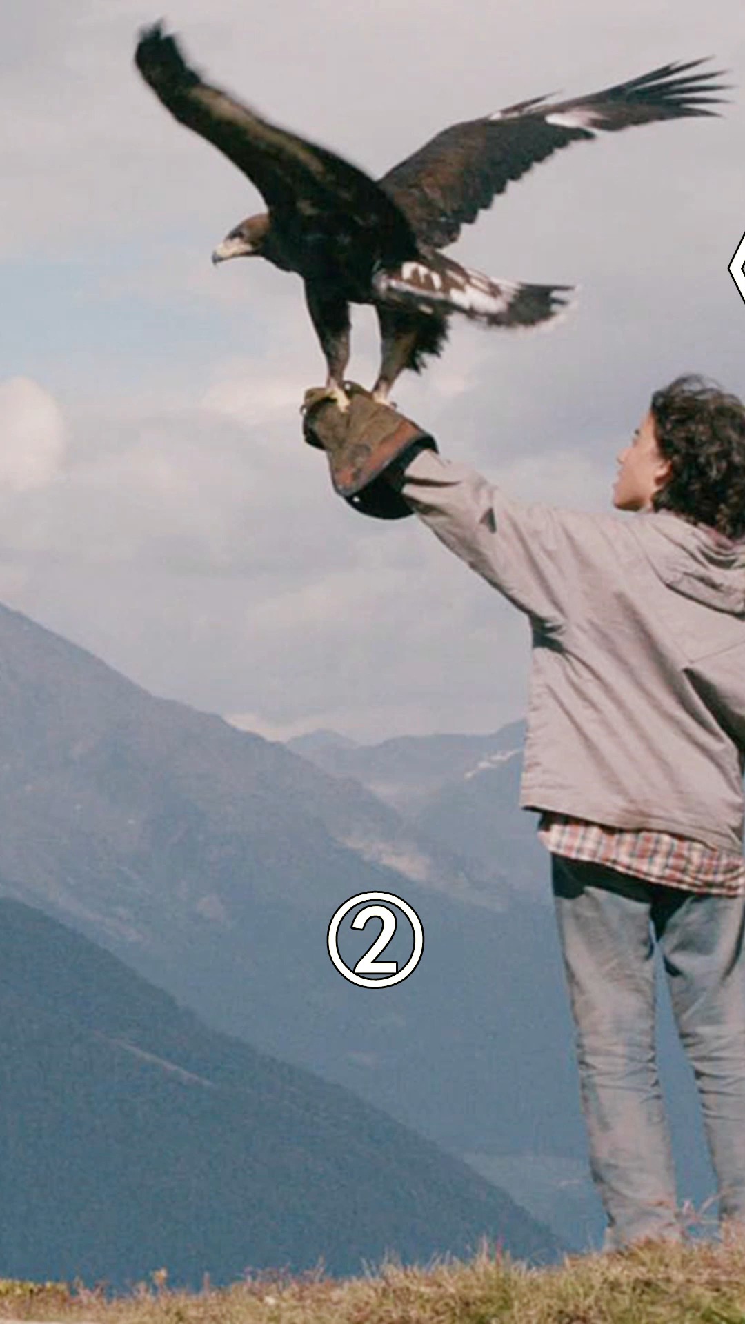 电影解说#治愈电影,小男孩救下一只受伤小鹰,最终长成一代鹰王!