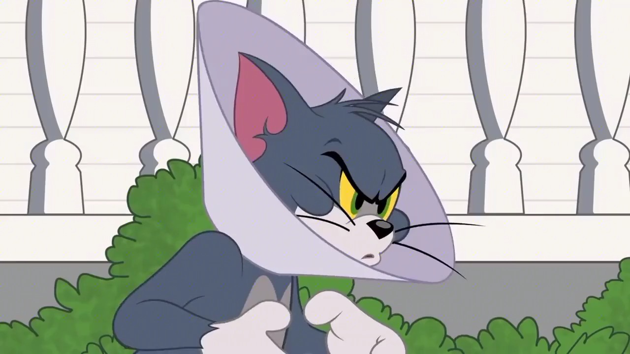 动漫#汤姆带头套 看不见东西 被杰瑞耍的团团转