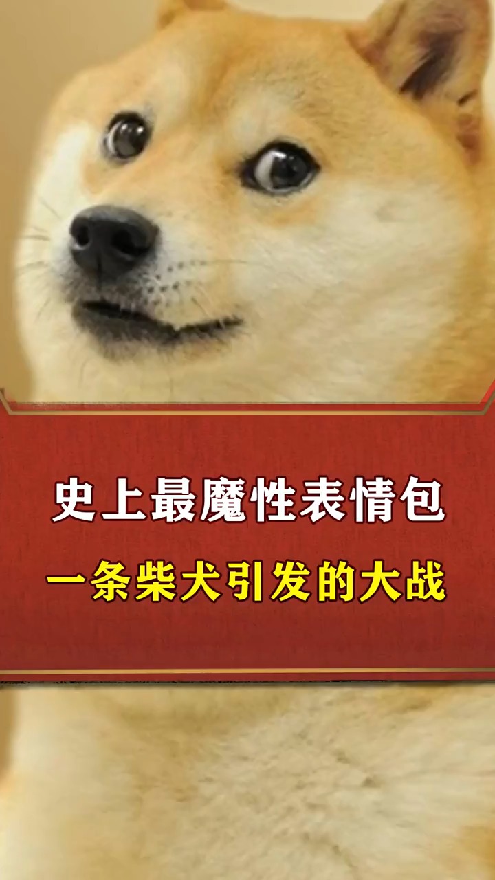 表情包#史上最魔性表情包,一条柴犬引发的大战