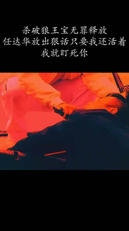 杀破狼王宝无罪释放.任达华放出狠话只要我还活着,我就盯死你