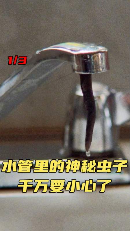 童年阴影变异鼻涕虫袭击人类吃人从来不吐囫