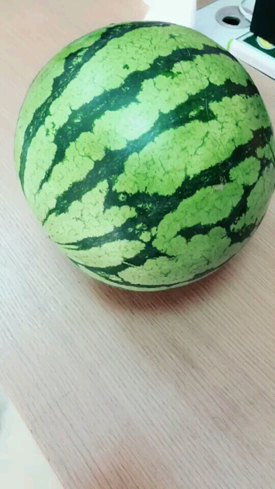 盐城的东台爆炸瓜,一拍就爆炸.来自西瓜之乡东台市