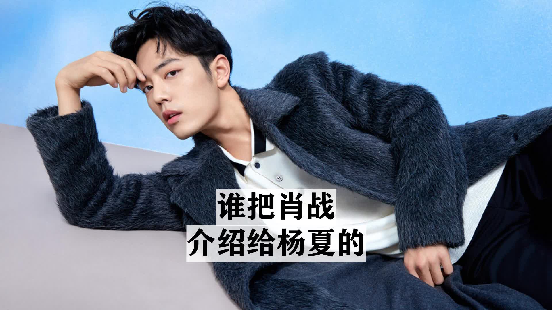 谁把肖战介绍给杨夏的