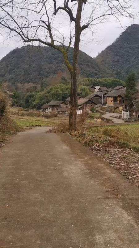 贵州平塘县大塘镇图片