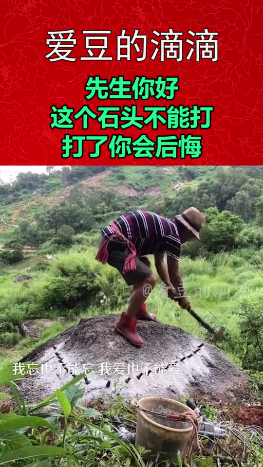 搞笑段子剧先生你好,这个石头不能打,打了你会后悔