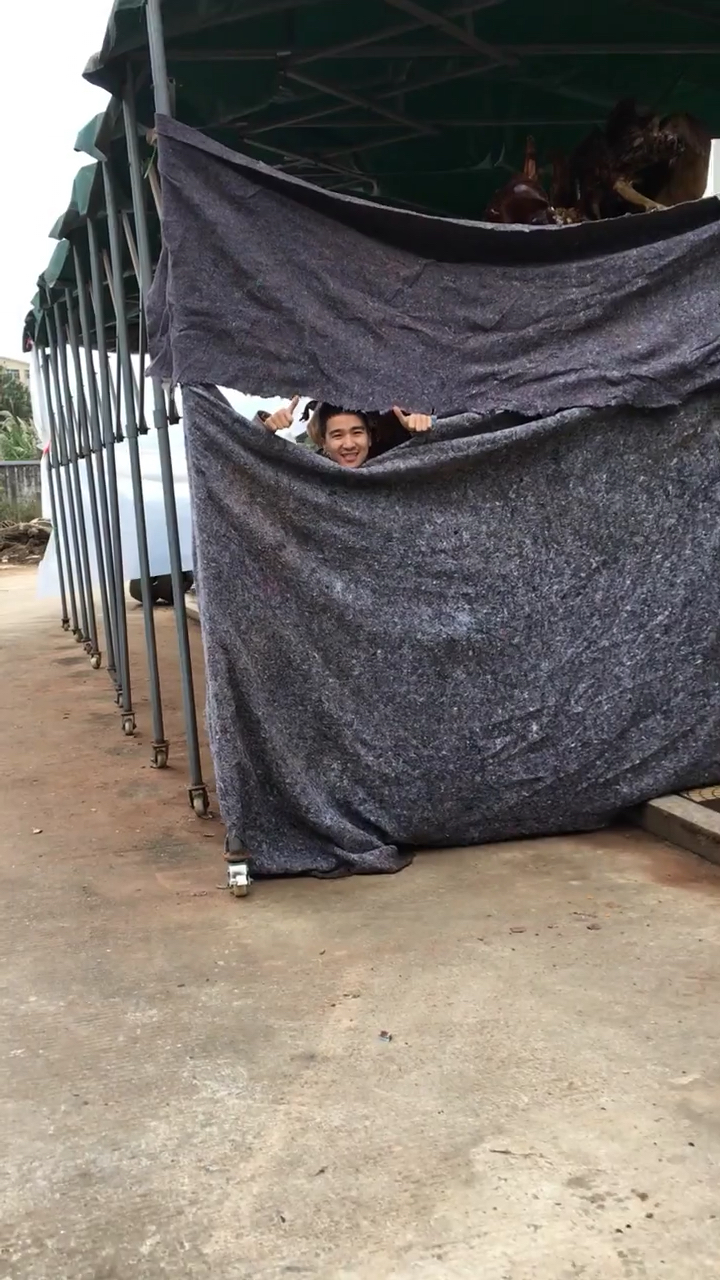 揭开布后面的二十辆宝马