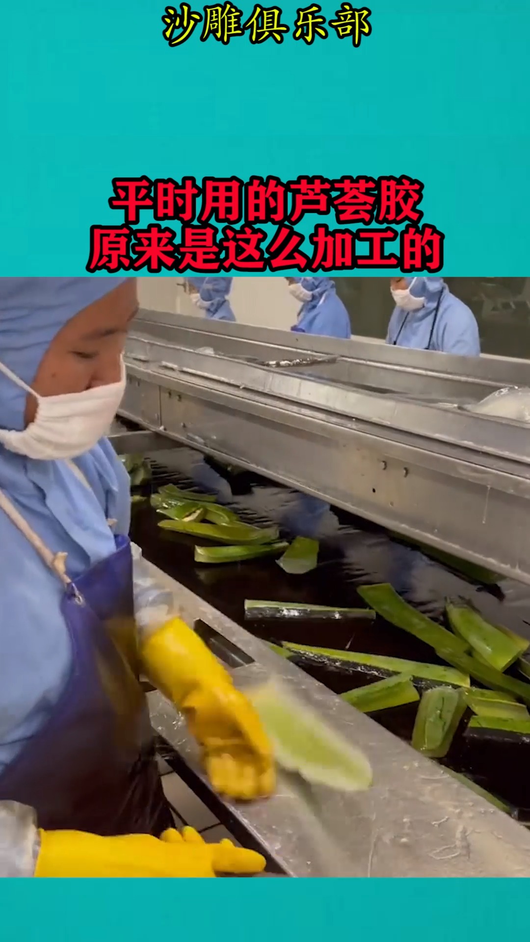 我要上热门#平时用的芦荟胶,原来是这么加工的