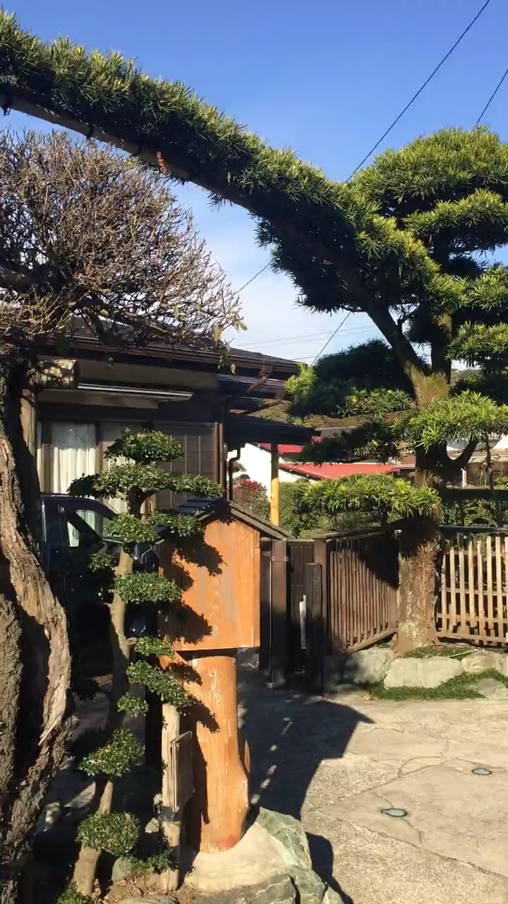 日本农村绝佳小院.