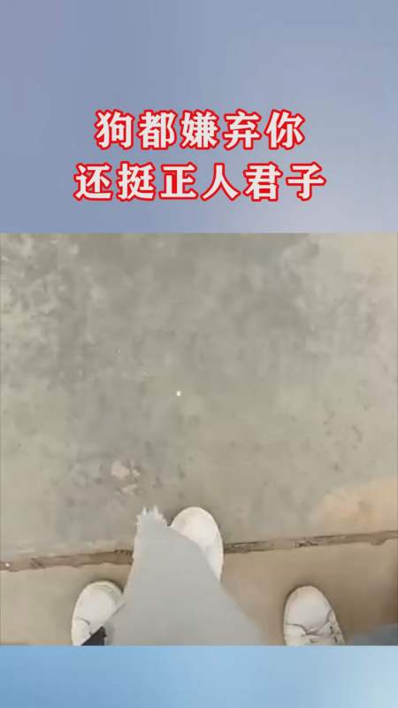 我要上热门#狗都嫌弃,你还挺正人君子,网友:别那么对狗让我来