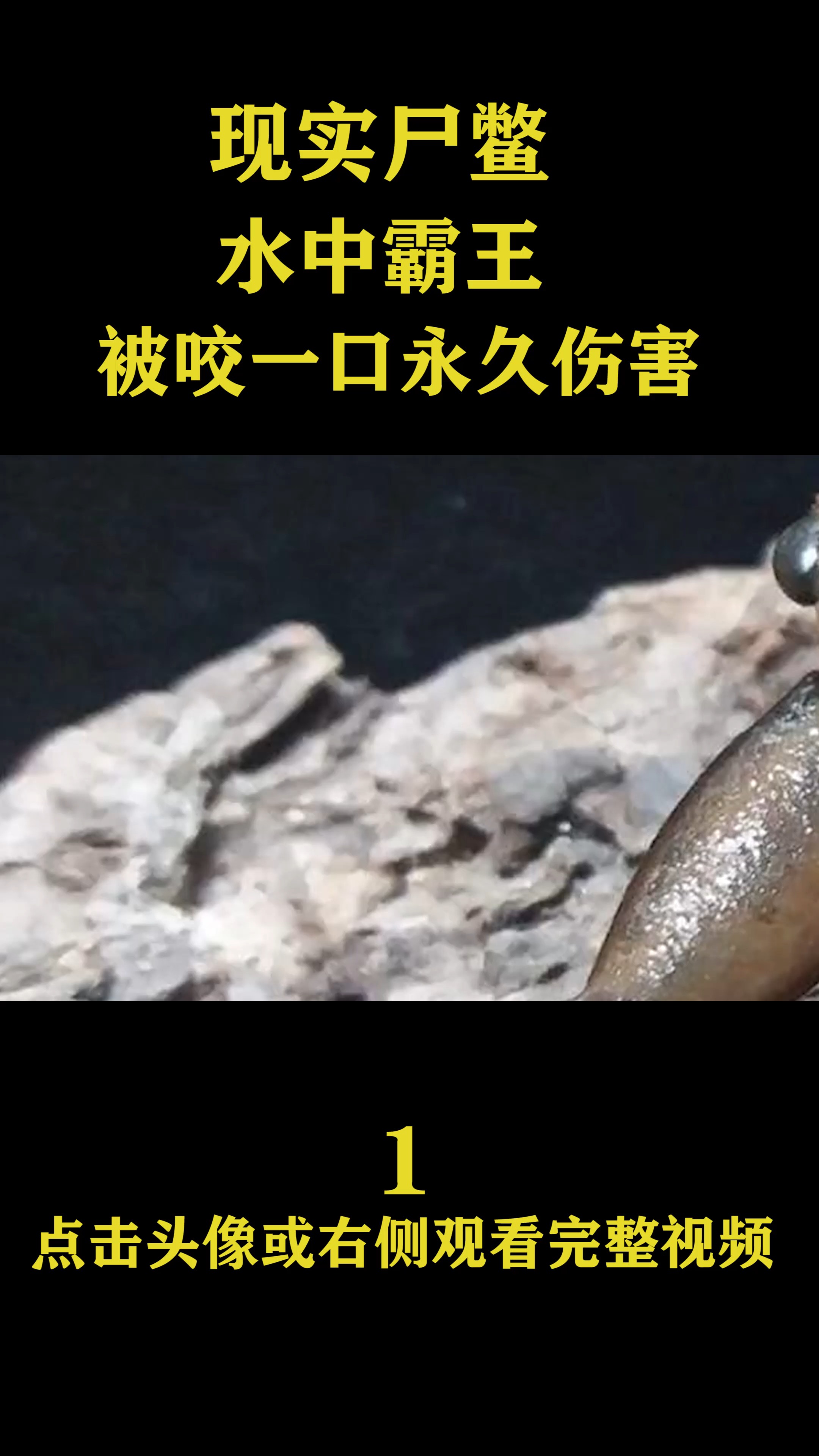 独竖一知##好知识# 水中霸王田鳖,凭借口水称霸淡水域,却被中国人吃