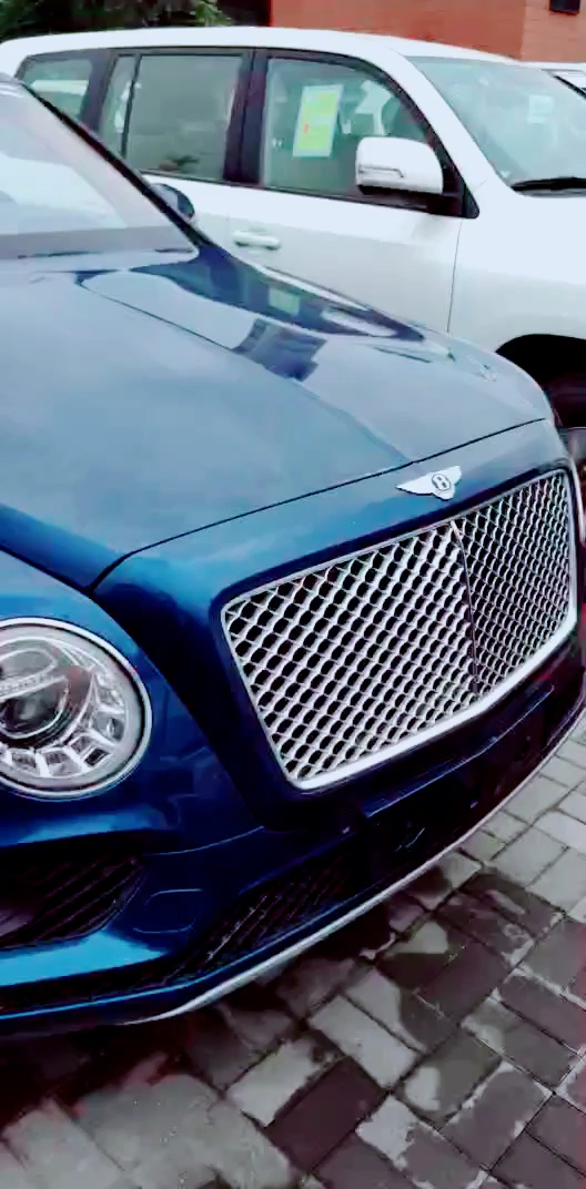 老司机来看看这比亚迪还带翅膀的是什么鬼