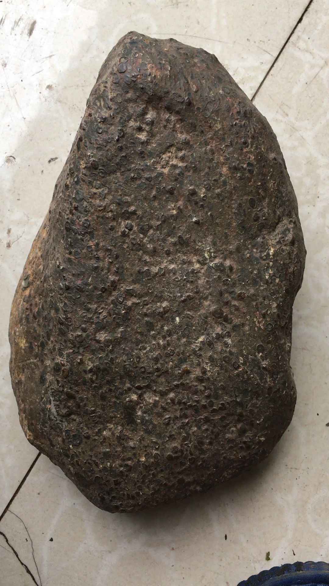 这颗球粒陨石重9.6斤弱磁