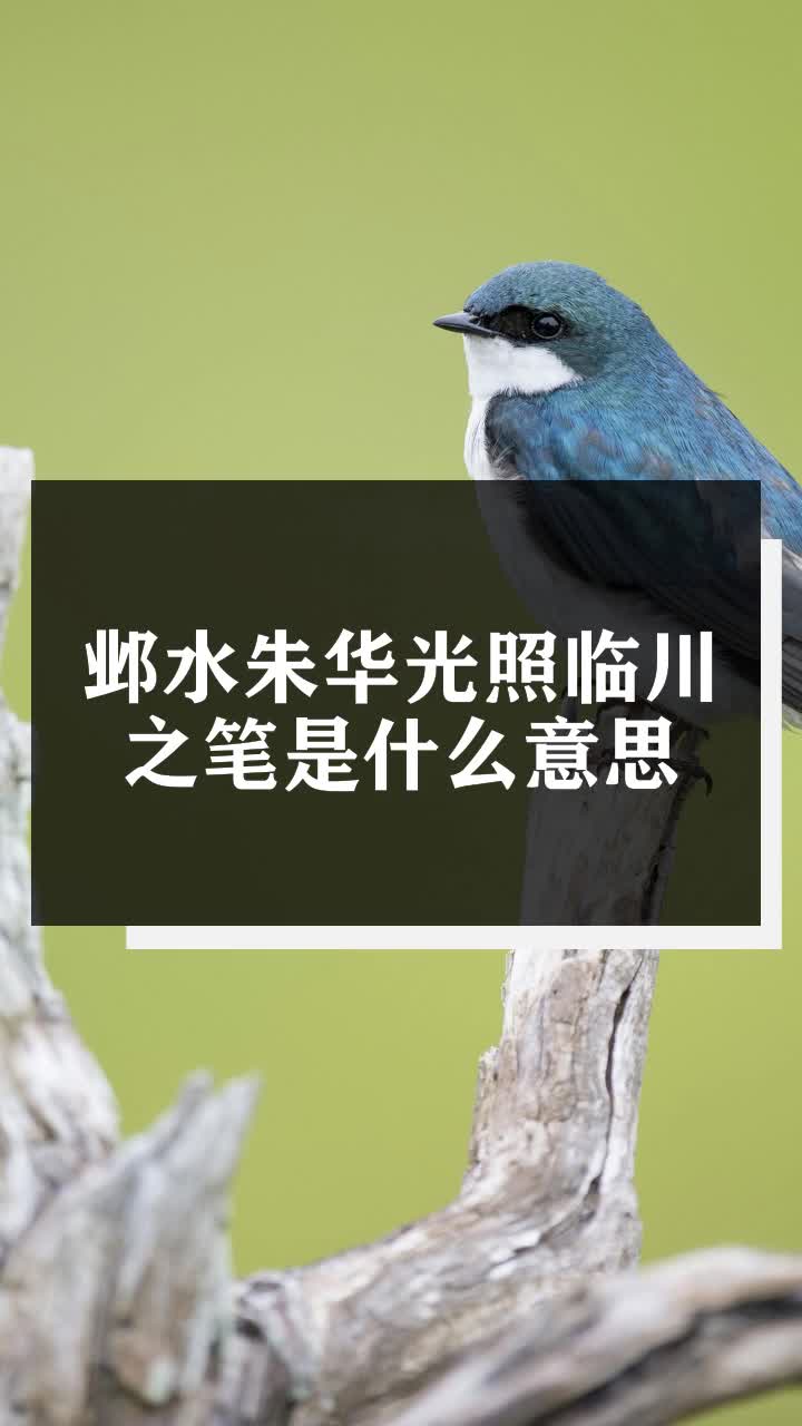邺水朱华光照临川之笔是什么意思