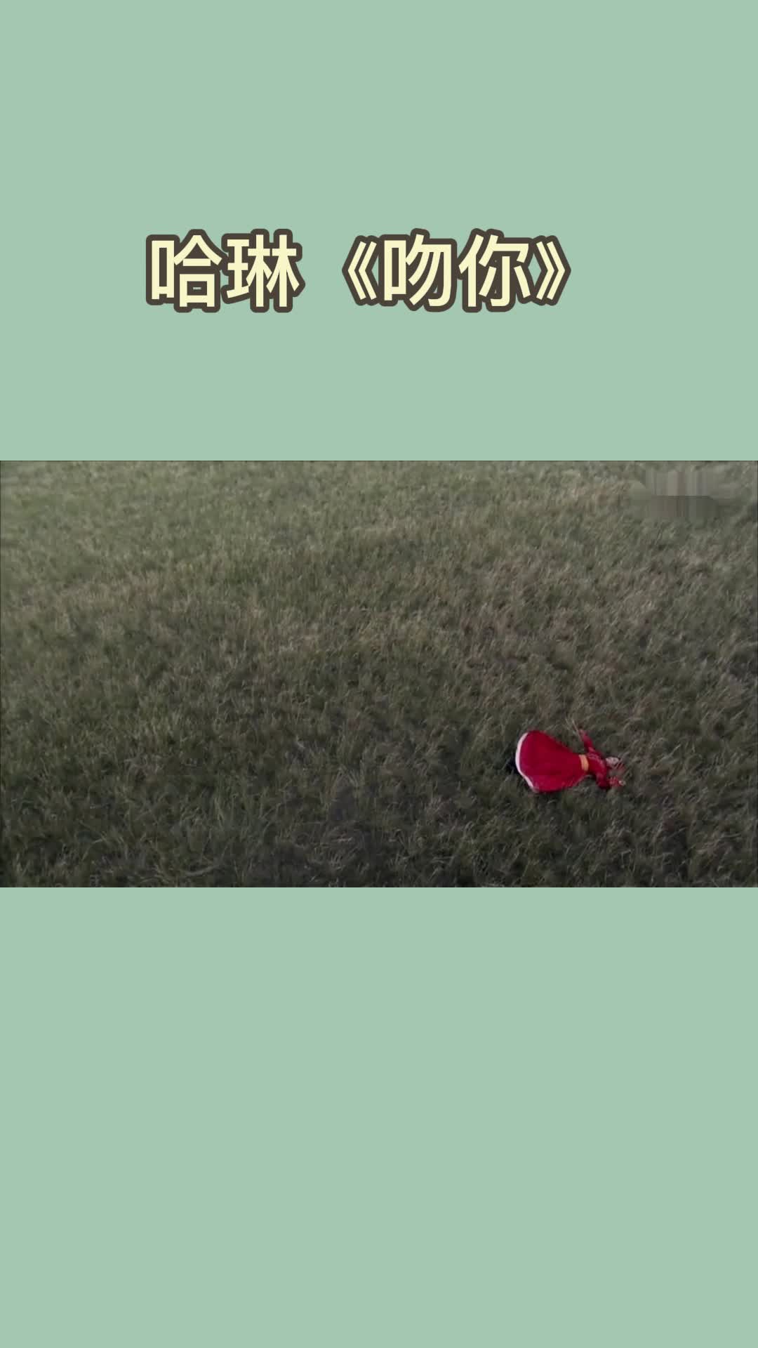 胡杨女人主题曲吻你你听过吗