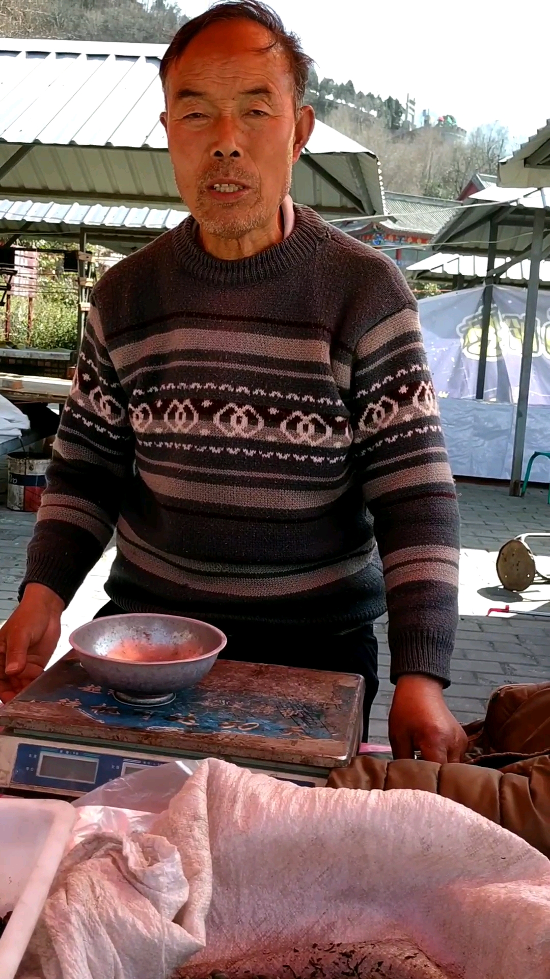 山民大叔解说自家产的松子