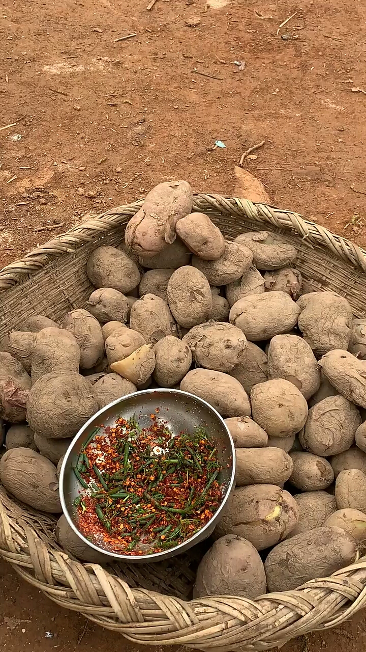 一年365天,一日三餐吃的最多的就是土豆,大凉山主食——煮洋芋!