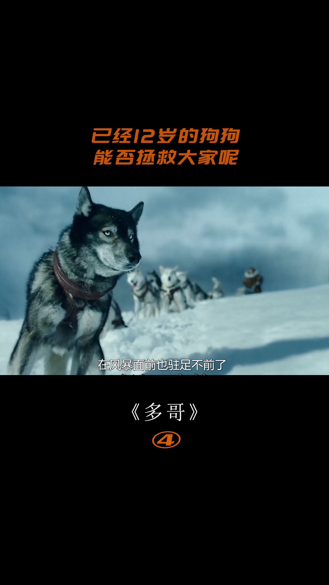 多哥的传奇励志故事(四)3/12#电影解说