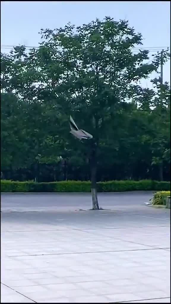 会扇动翅膀的蝙蝠飞机,很多人说飞不起来,那就再做一次.
