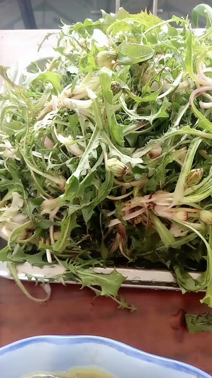 鸡蛋酱蘸婆婆丁