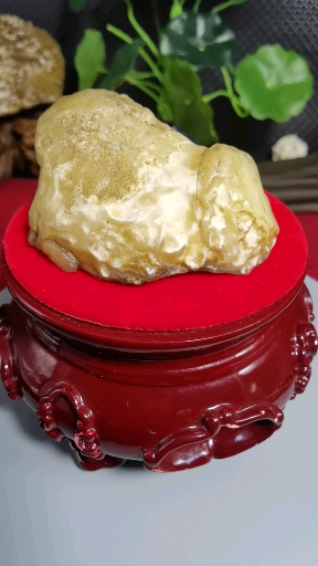 罗布泊地表蛋白原石