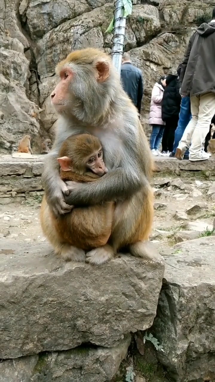 妈妈的怀里好温暖,就喜欢这样一直抱着不松手.