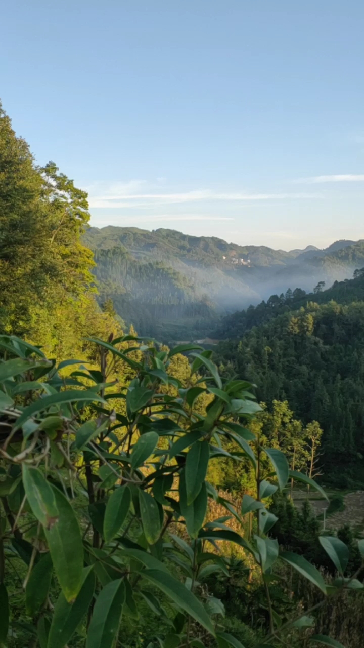 山咔咔风景就是美