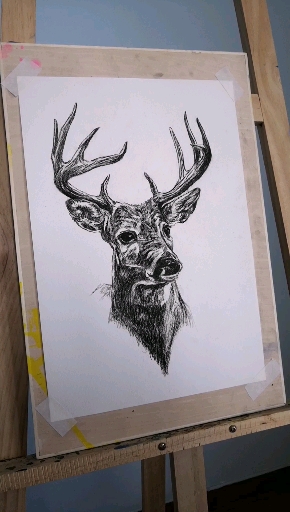炭笔素描—麋鹿
