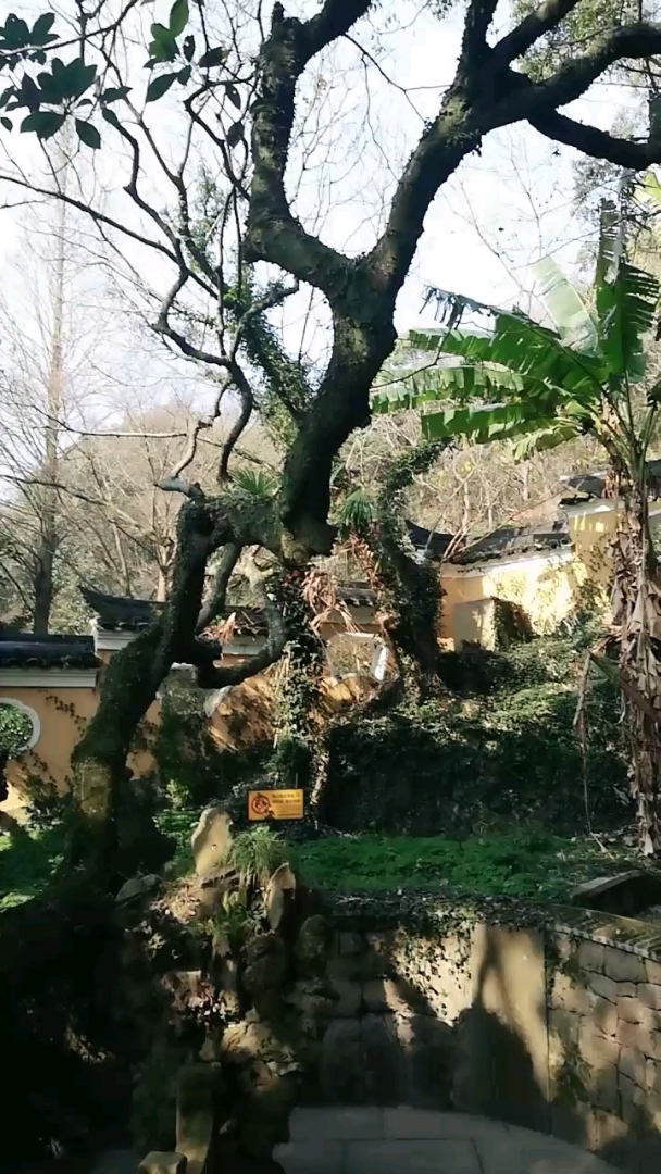 传说中的仙人井