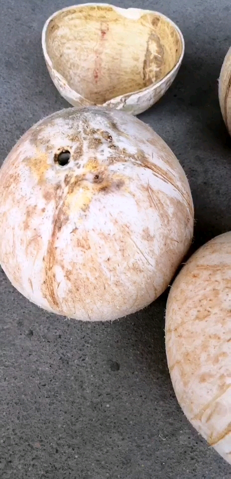 吃完的椰子核晒干做小筐