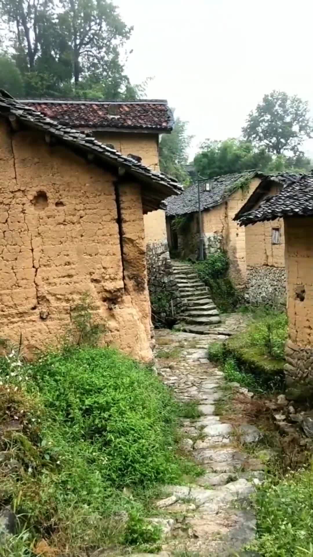 5万购房补贴仅剩最后几天该怎么选我还在纠结尊龙凯时- 尊龙凯时官方网站- 尊龙凯时APP下载