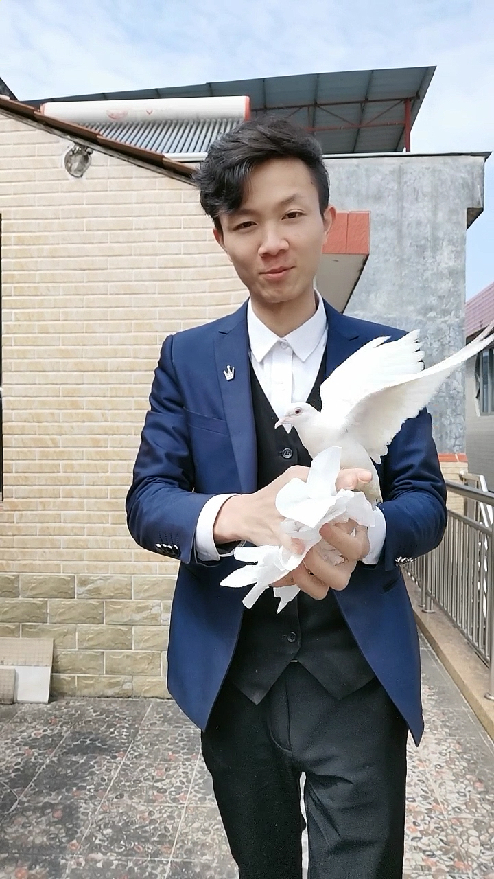 变鸽子魔术