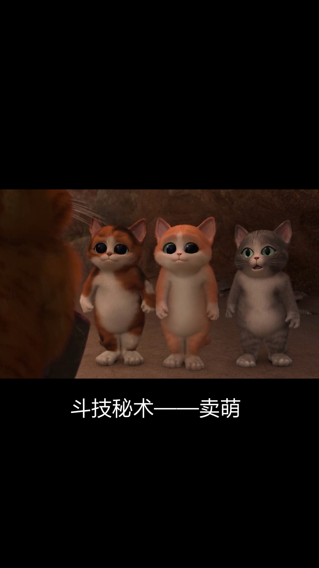 猫#穿靴子的猫之萌猫三剑客:斗技的最终奥义是卖萌