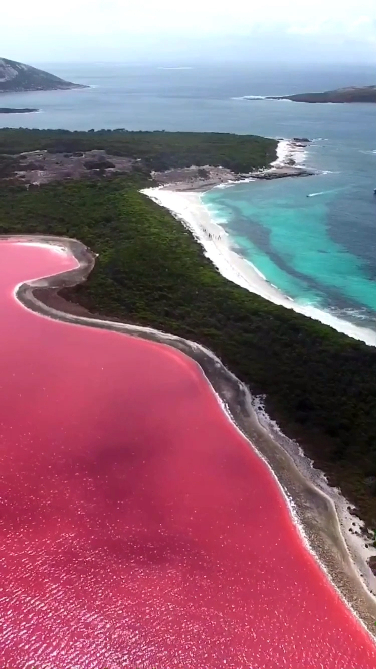 粉红色海洋太美了