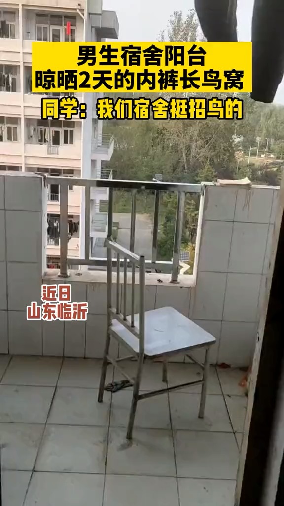 高校男生宿舍阳台晾晒2天的内裤竟然长鸟窝了