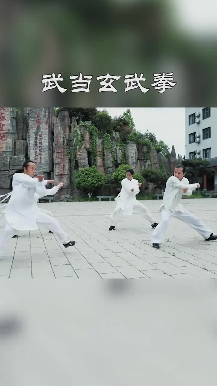 武当功夫#陈师行教练组展示武当玄武拳,刚柔相济,轻灵自然