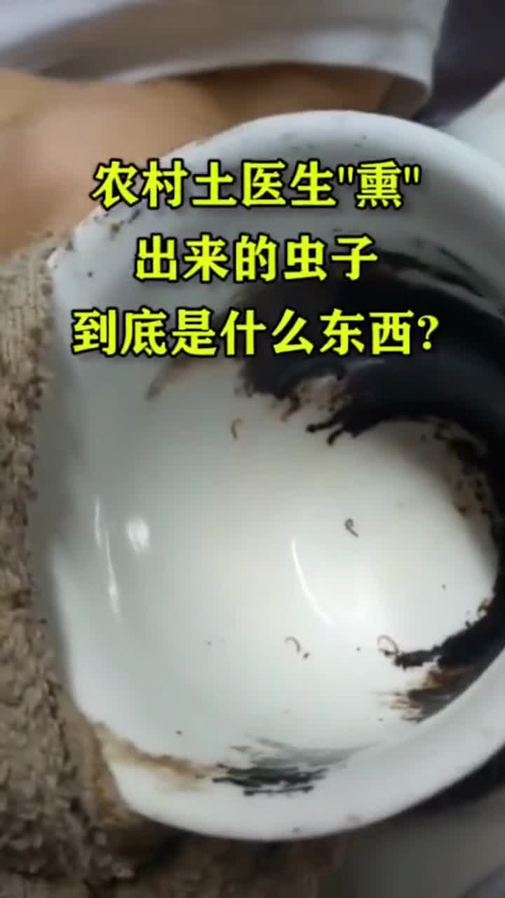 牙里能熏出来虫子真假图片