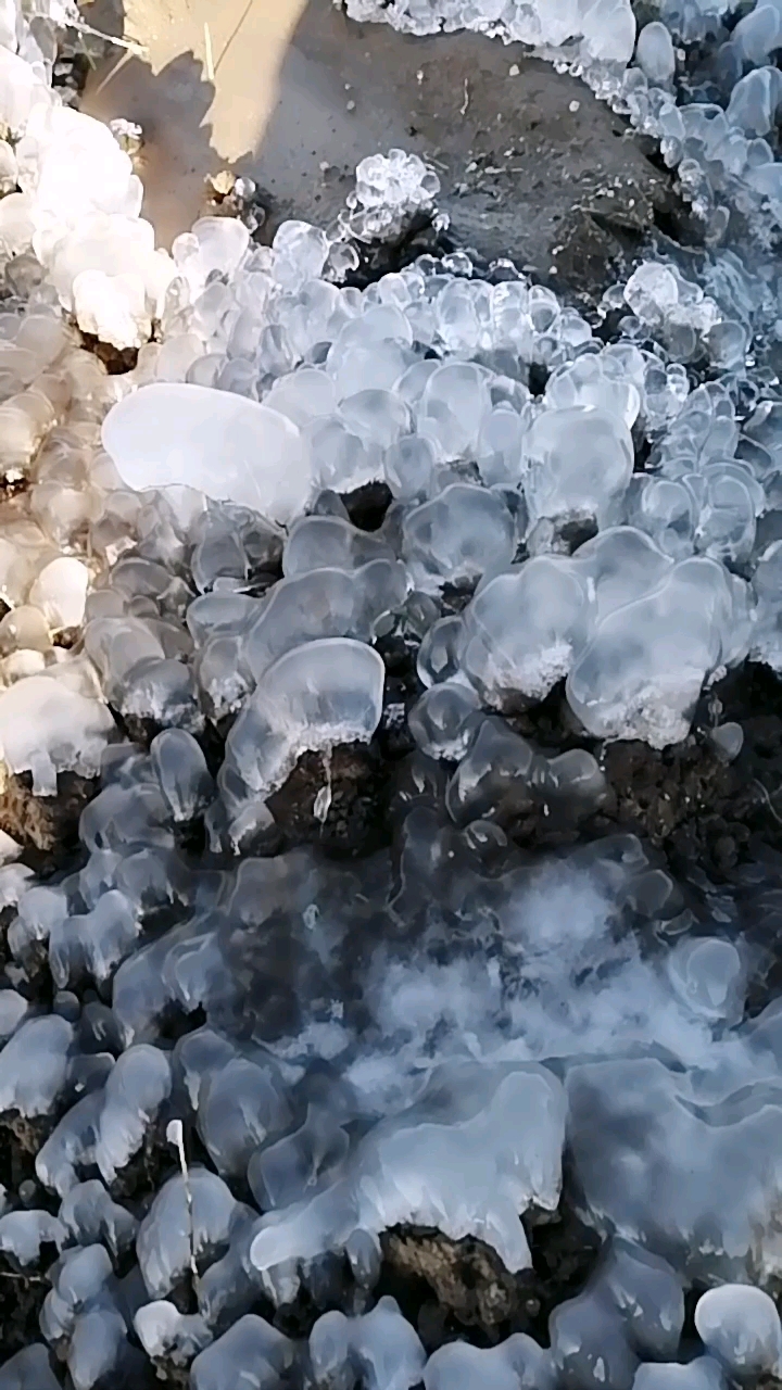 看看五月十三号冬的冰