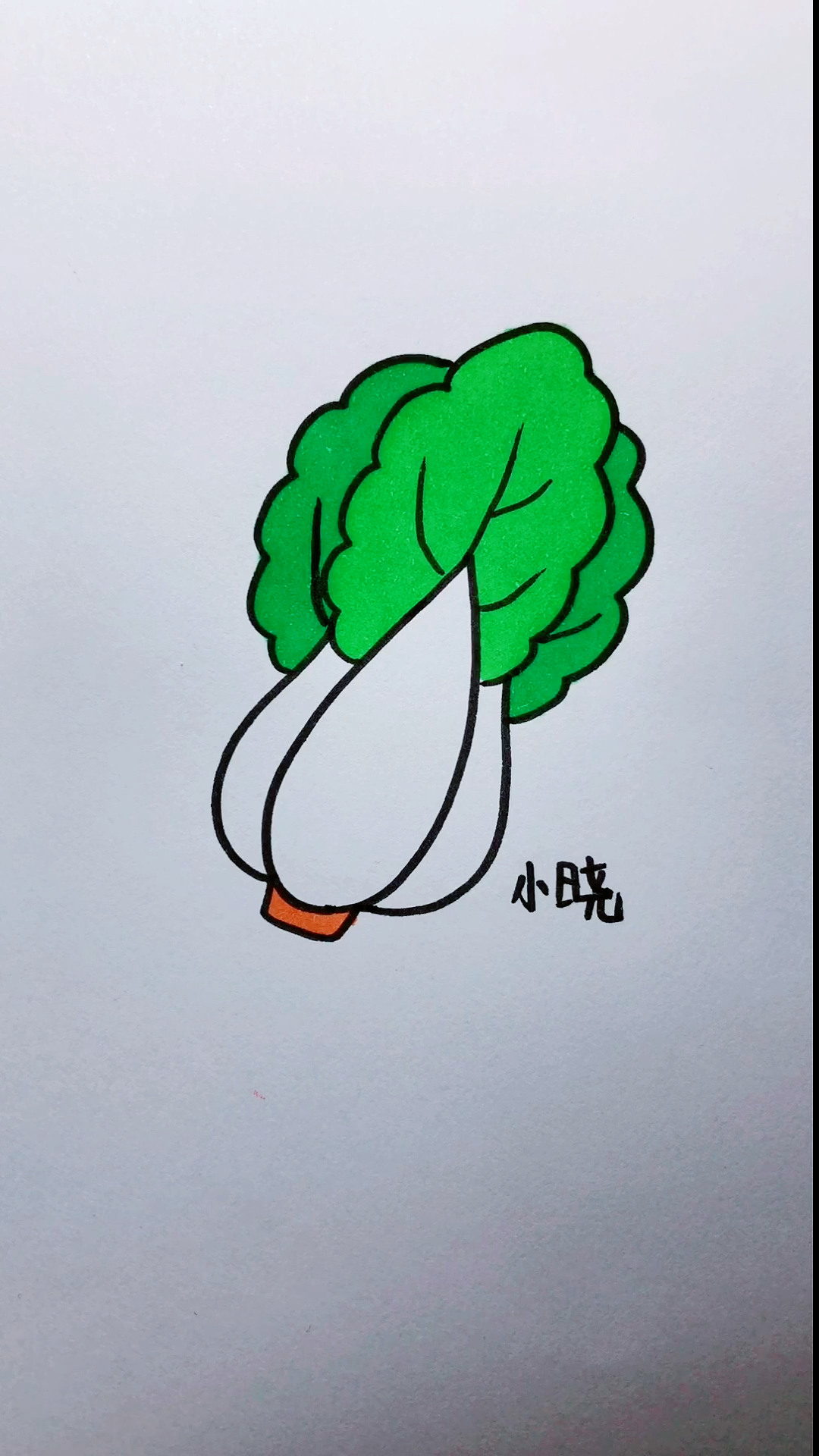 画画原来如此简单#简笔画大白菜-度小视