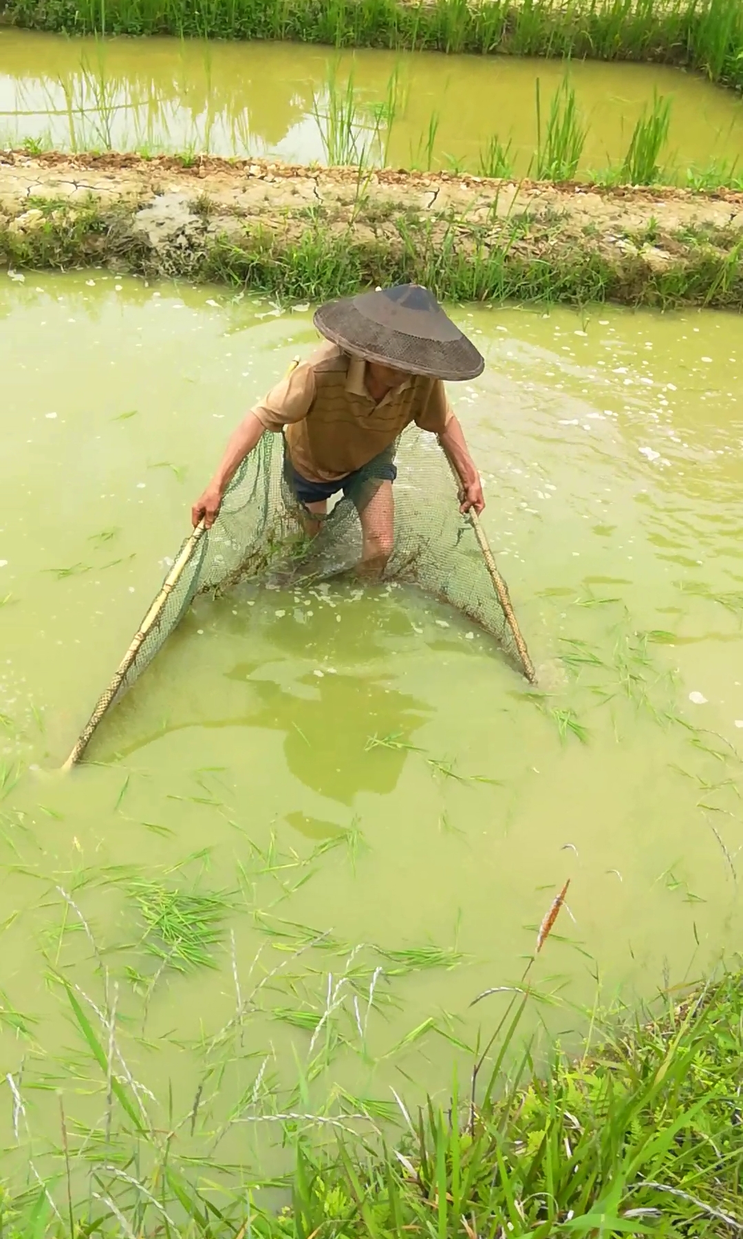 户外捞鱼#你们说,这样能捞到大草鱼吗?