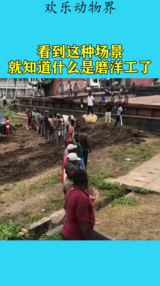 看到这种场景,就知道什么是磨洋工了!