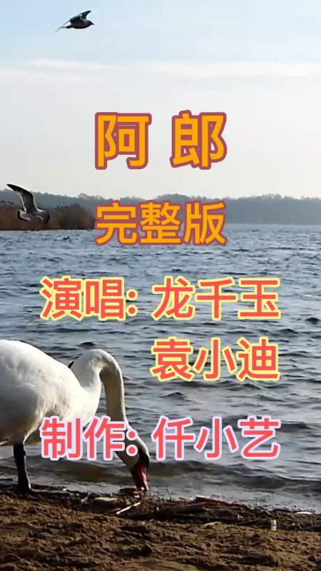 情歌对唱阿郎台湾电视剧再见阿郎主题曲经典老歌歌声悠扬听醉了