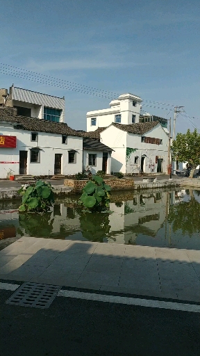 美丽新中国#嵊州市甘霖镇黄箭畈村